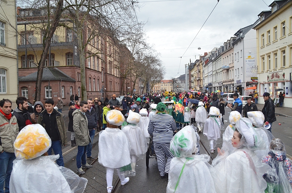 | HKK | Heidelberger Fastnachtszug 2016 - © Lars Thieme