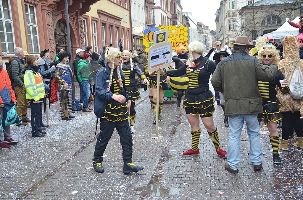| HKK | Heidelberger Fastnachtszug 2016 - © Lars Thieme