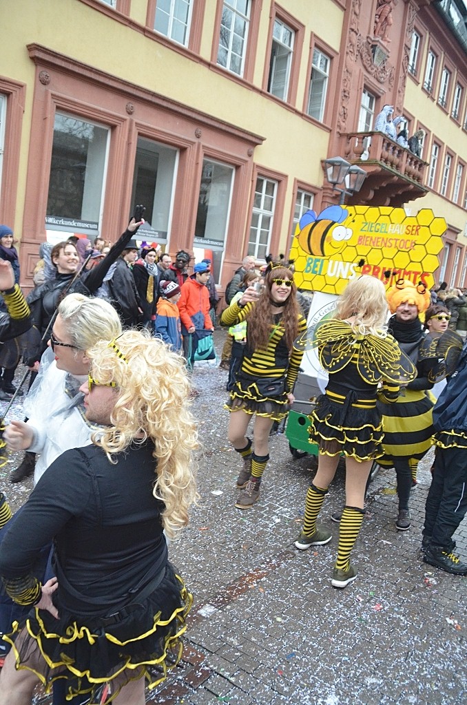| HKK | Heidelberger Fastnachtszug 2016 - © Lars Thieme