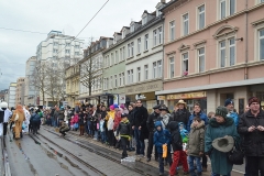| HKK | Heidelberger Fastnachtszug 2016 - © Lars Thieme