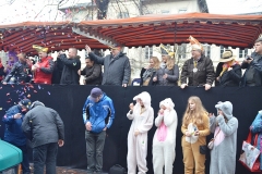 | HKK | Heidelberger Fastnachtszug 2016 - © Lars Thieme