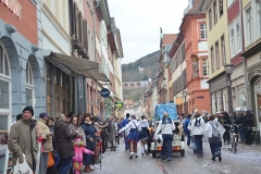 | HKK | Heidelberger Fastnachtszug 2016 - © Lars Thieme