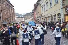 | HKK | Heidelberger Fastnachtszug 2016 - © Lars Thieme
