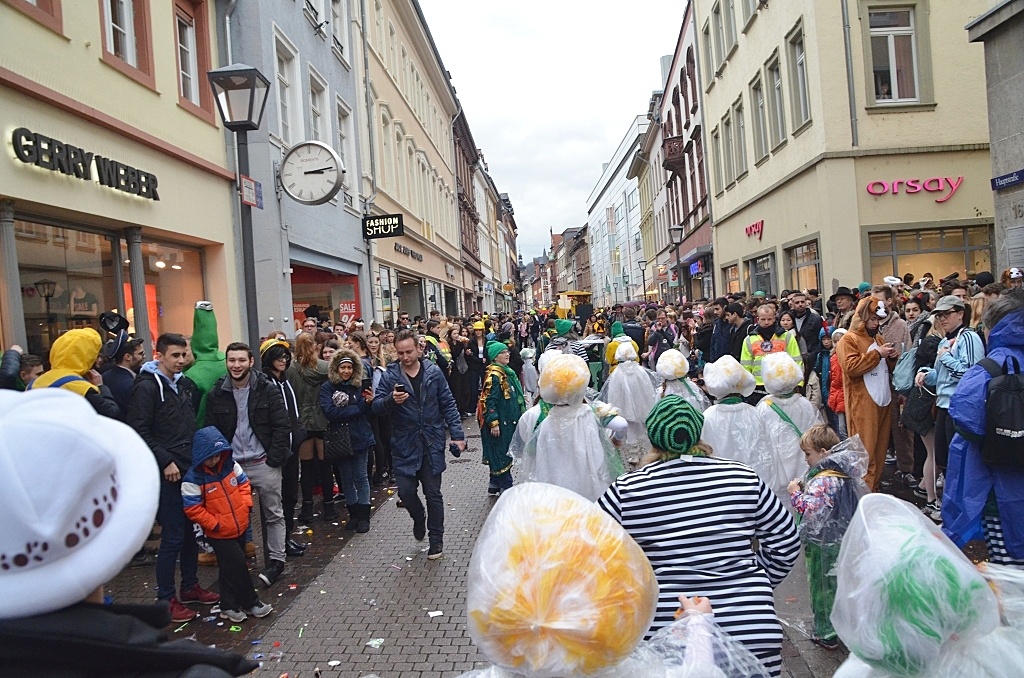Heidelberger Fastnachtszug 2016 (c) Lars Thieme HKK - Heidelberger Karneval Komitee